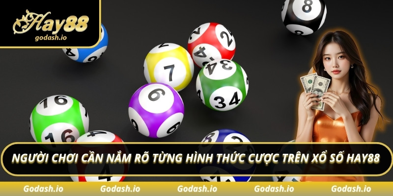 Người chơi cần nắm rõ từng hình thức cược trên xổ số Hay88